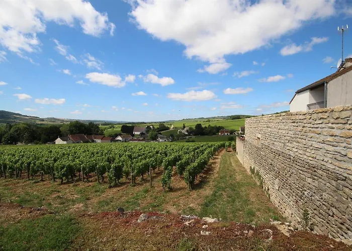 Appartement Les Crus de Santenay à Santenay 