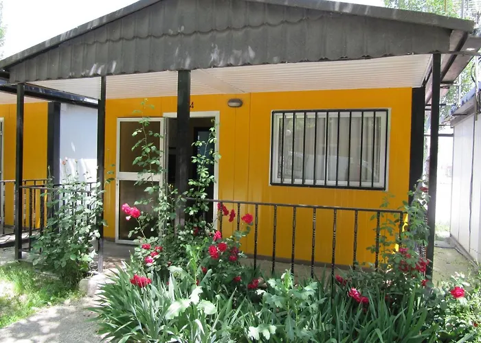 Bungalows Alpha
