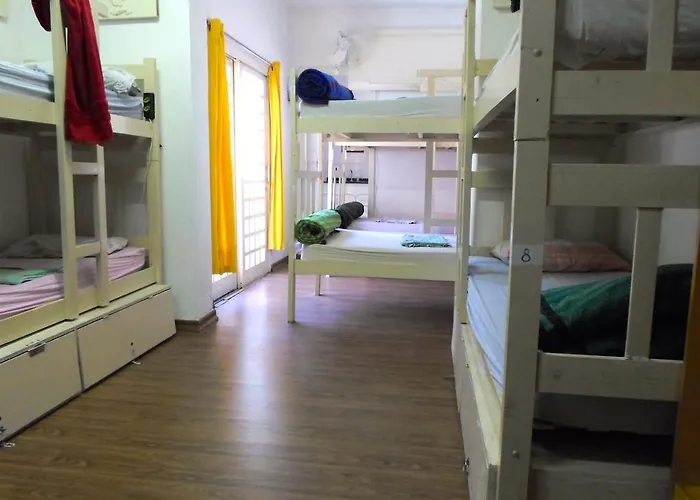 3Dogs Hostel