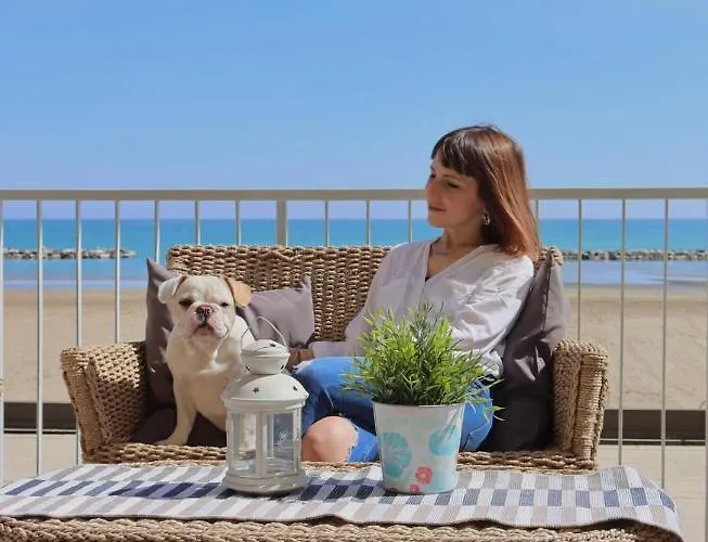 Hotel adatto agli animali: Nautic Beach Hotel