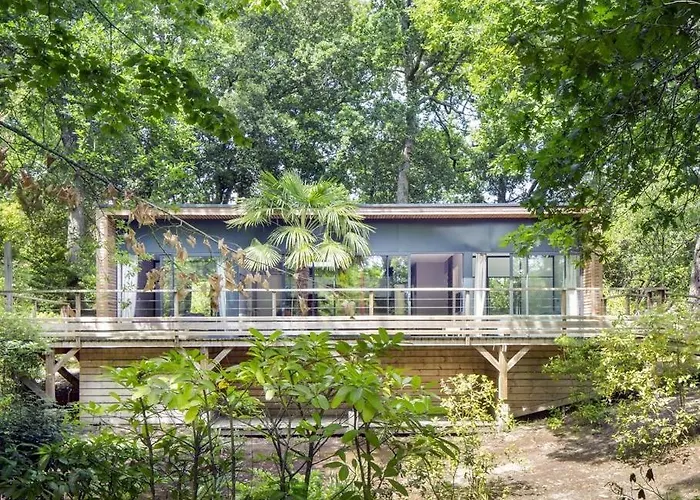 Maison de vacances: Oasis
