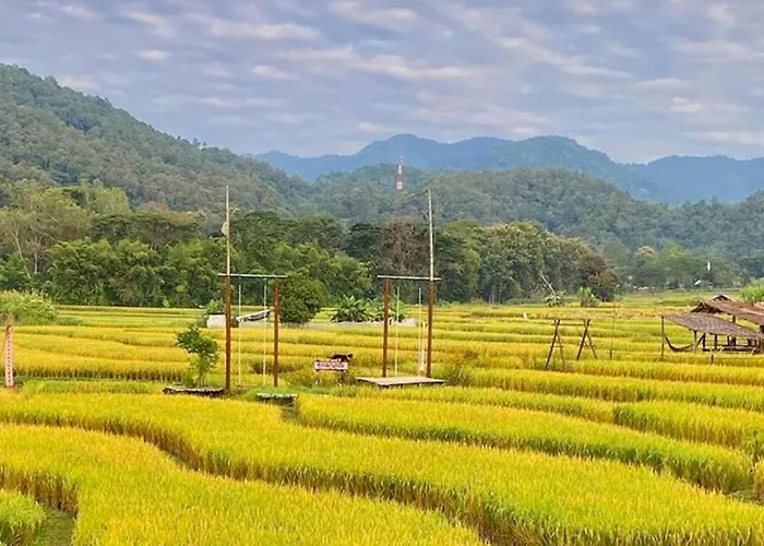 Bulunburi