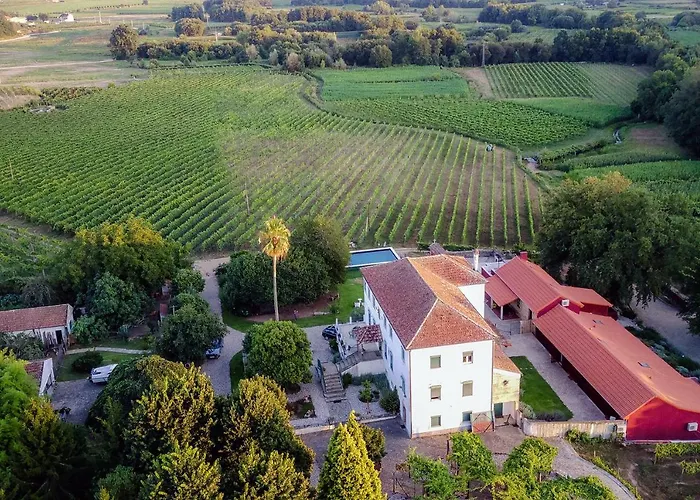 Quinta De Vila Nova - Agroturismo
