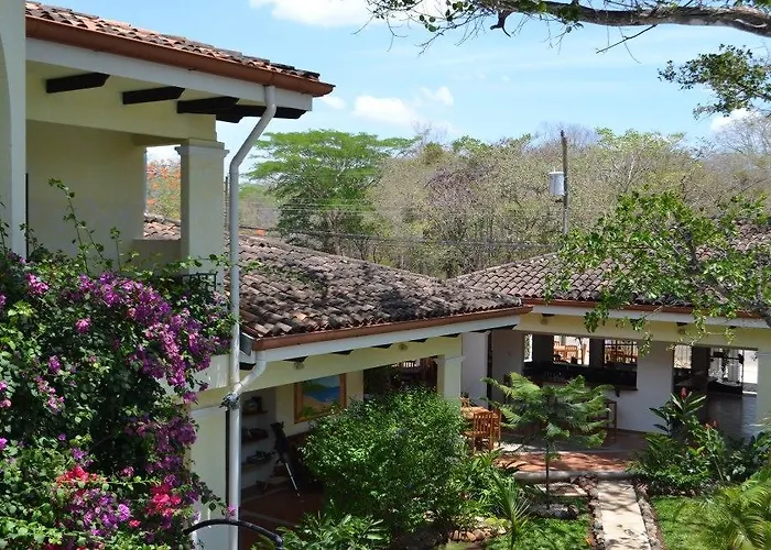 Pet Friendly hotel: Playa Grande Park Hotel