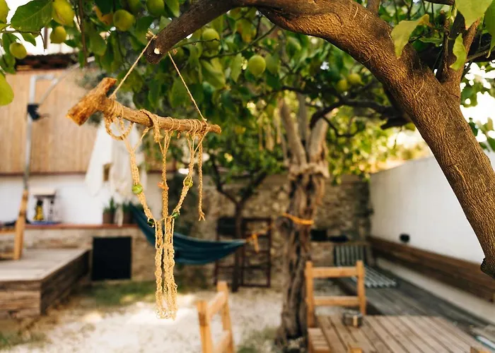 Hostel: Flaneur Hostel