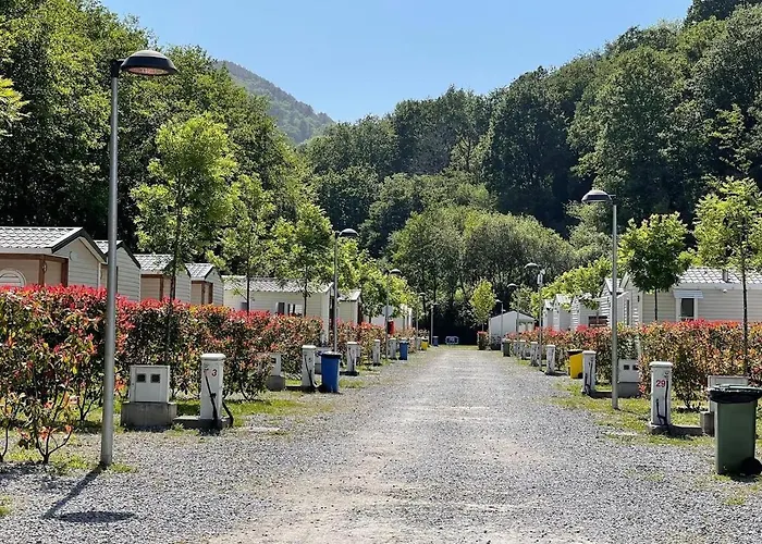 Hôtel accueillant les animaux: Camping Igara De San Sebastian
