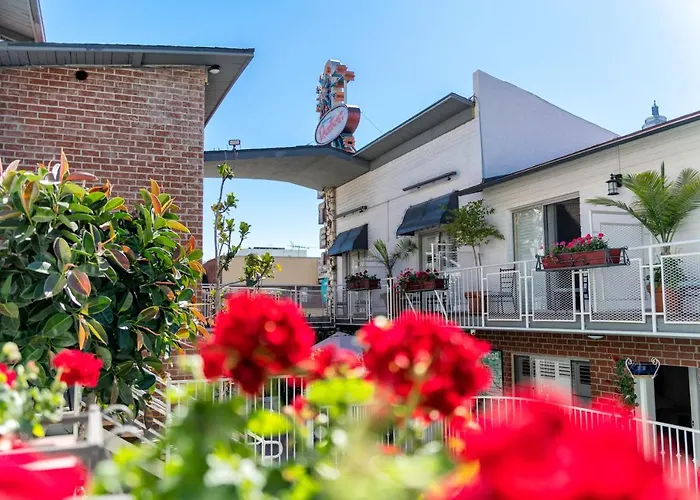 Central hotel: Hollywood Downtowner