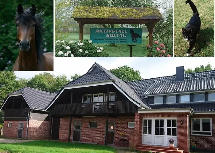 Aktivstall Soltau