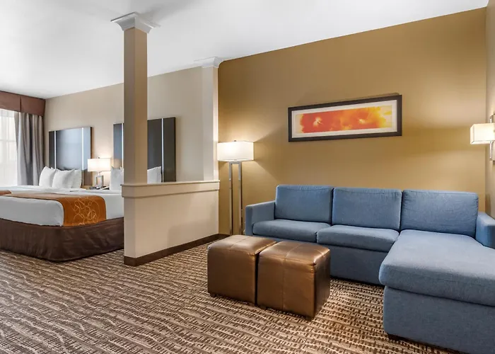 Cheap hotels Comfort Suites Near Sam Houston Race Park