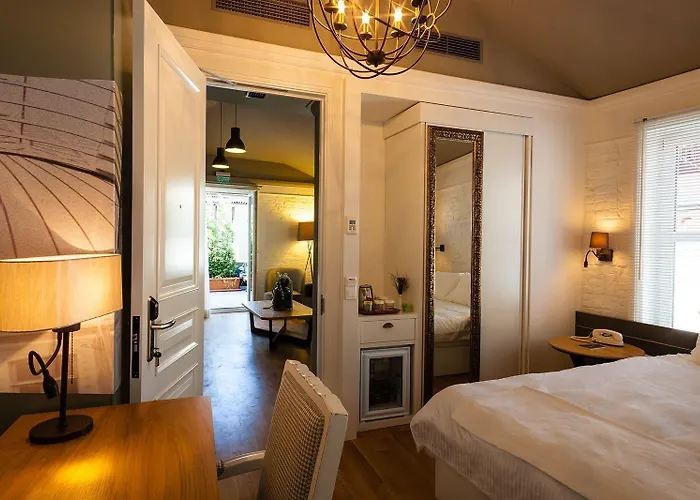 Albergo economico: Pino Verde Hotel