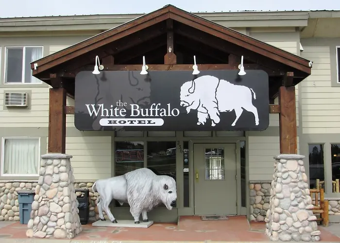 White Buffalo