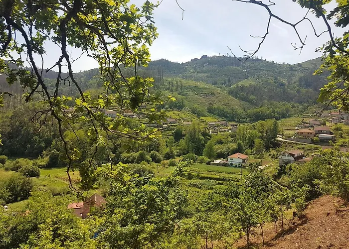 O Eido De Celia