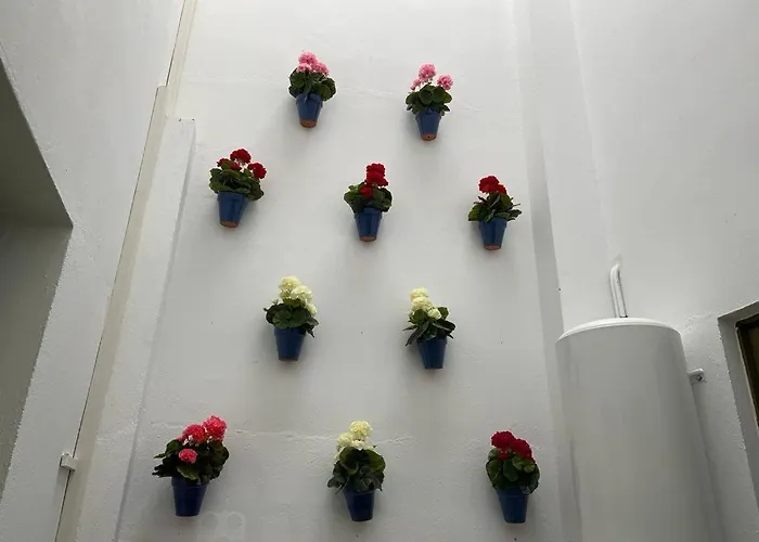 El Mirador De San Fernando