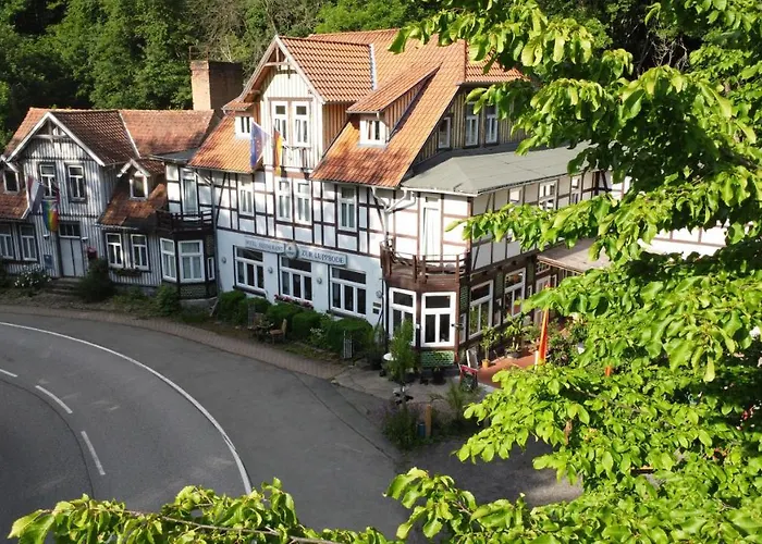 Hotel Zur Luppbode