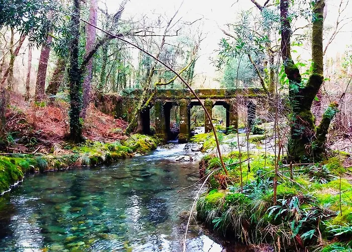 Chalet: Cabañas Rias Baixas