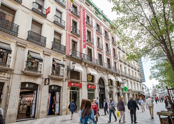 Pet Friendly hotel: Petit Palace Puerta Del Sol