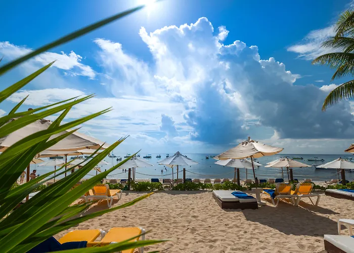 Hotel de golfe: The Reef Coco Beach Resort & Spa