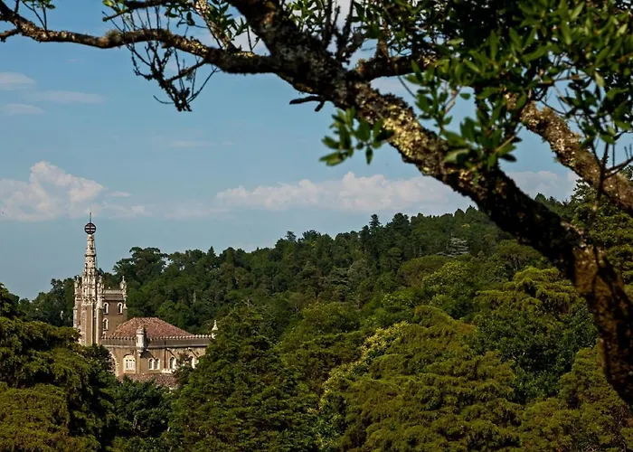 Hotel boutique Apenas: Palace Hotel Do Bussaco