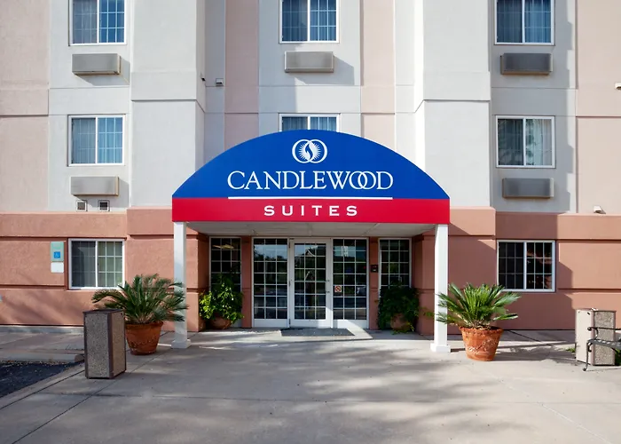 Pets Allowed Hotel Sonesta Simply Suites Austin The Domain Area