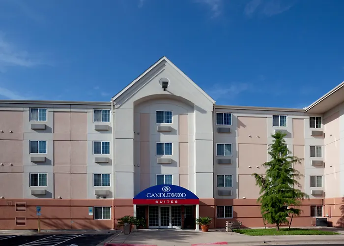 Pets Allowed Hotel Sonesta Simply Suites Austin The Domain Area
