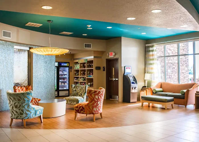 Dog friendly hotels Hampton Inn By Hilton Tampa Fairgrounds Casino