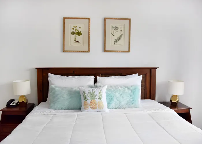 Pet Friendly hotel: Beach Park Hotel