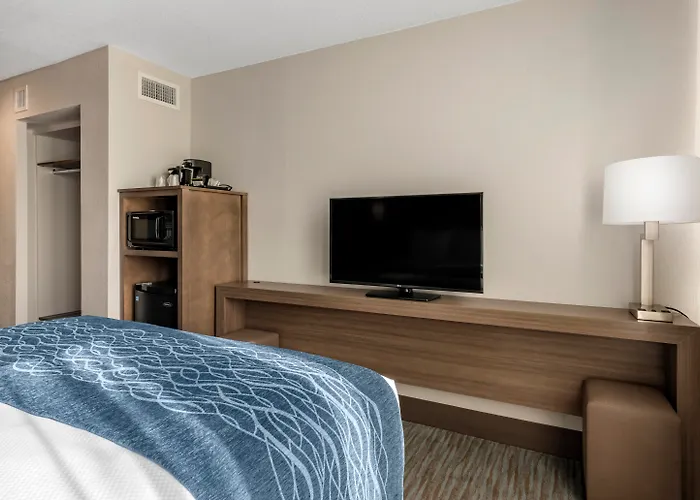 Pet Friendly hotel: Comfort Inn & Suites Downtown Brickell-Port Of Miami