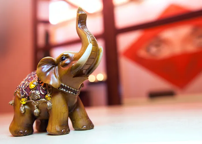 Hôtel accueillant les animaux: Galaxy Hotel