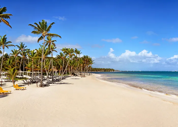 Hôtel accueillant les animaux: Catalonia Punta Cana