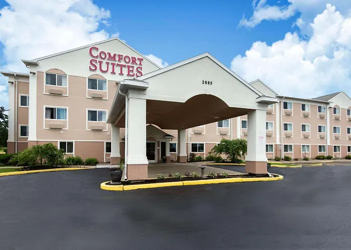 Pet Friendly hotel: Comfort Suites Rochester Henrietta University Area