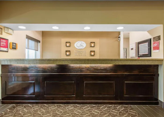 Pet Friendly hotel: Comfort Suites Rochester Henrietta University Area