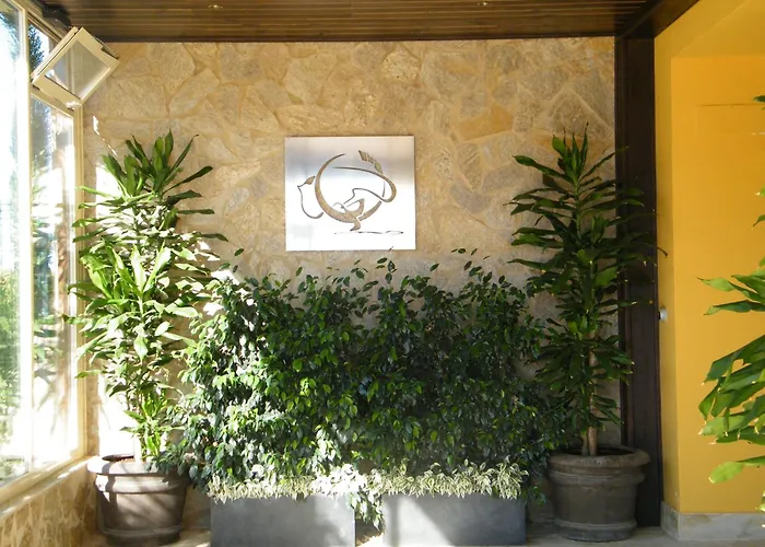 Hotel de 3 estrellas: Hotel Sierra Luz