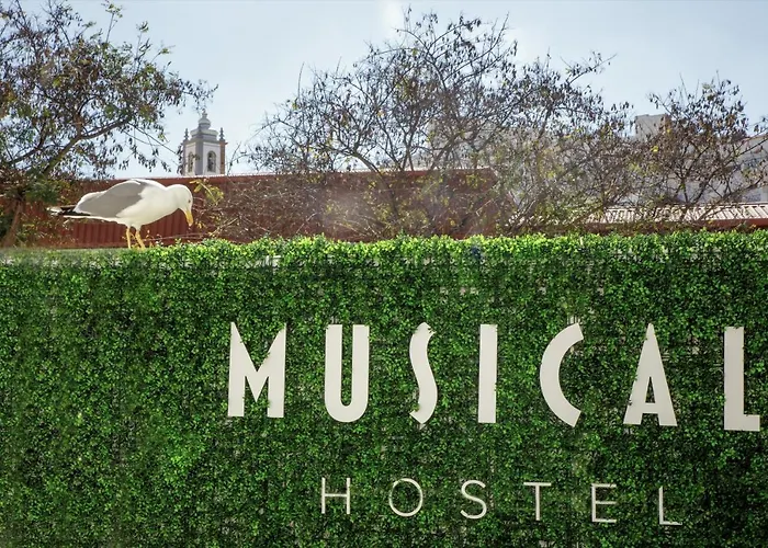 Musical Hostel