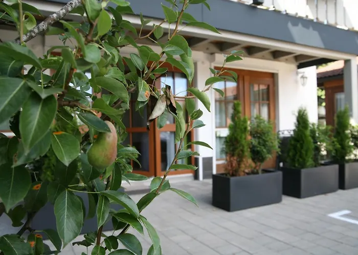 Ferienwohnung Wildgrün Pfronten