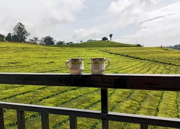 Cabin: Tea Estate View Stay