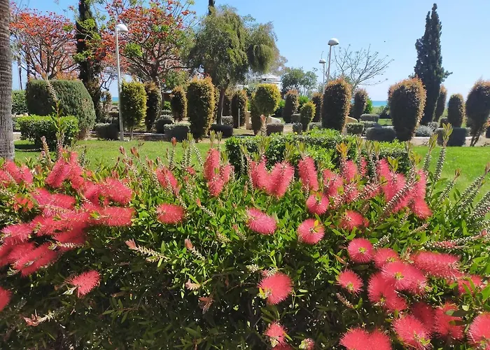 Alquiler de vacaciones: ACV Primera Línea