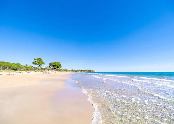 Perros hoteles Las Palmeras