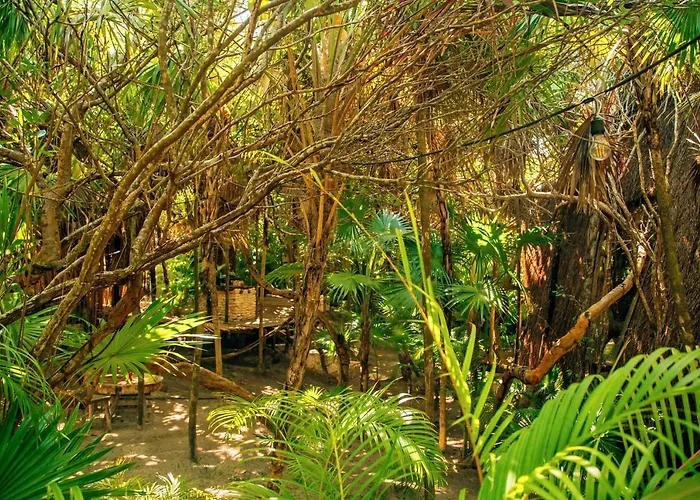 Beach hotel: Ikal Tulum Hotel