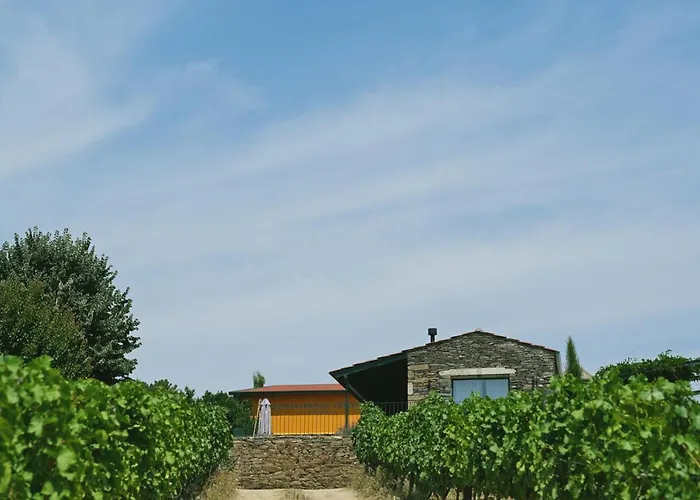 Hotel familiar: Quinta Do Monte Travesso - Country Houses & Winery