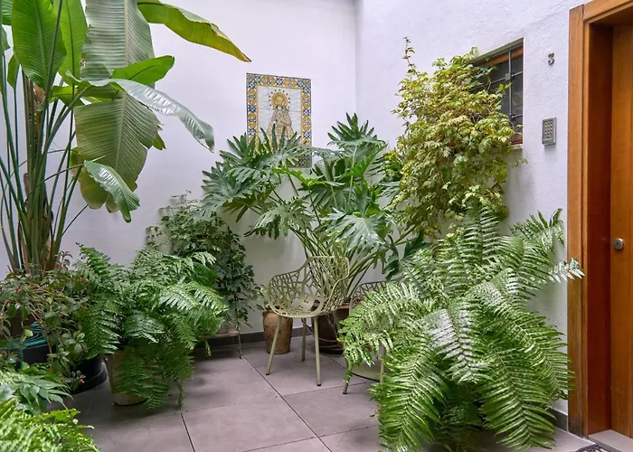 Beach hotel: Barracart Apartments