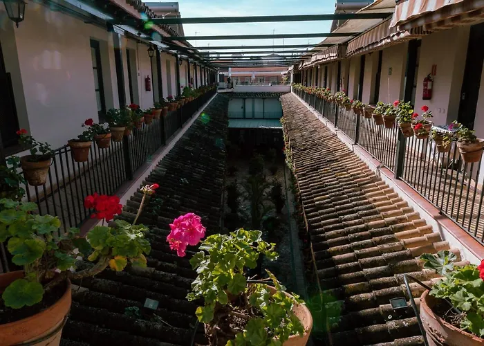 Apartamento: Apartamento Con Encanto En Patio Sevillano
