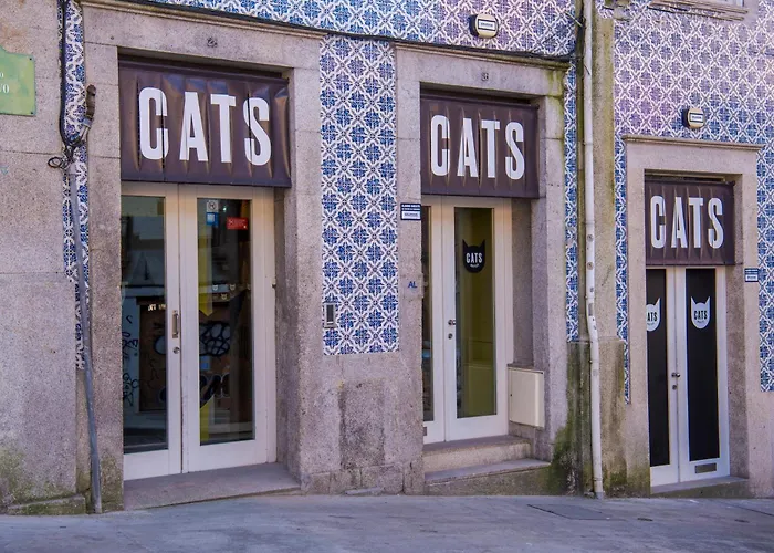 Hôtel: Cats Porto Hostel