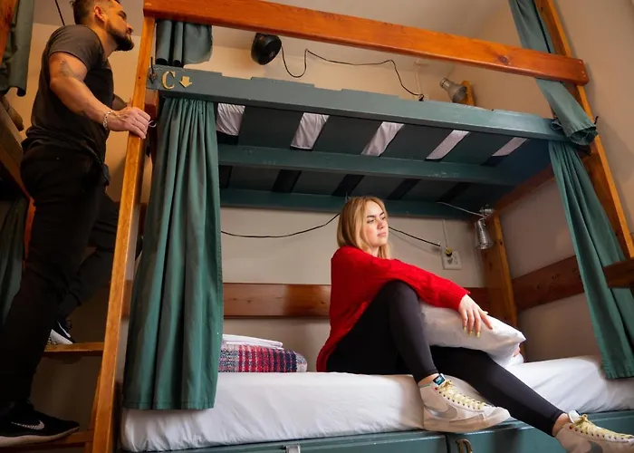 Hôtel accueillant les animaux: Green Tortoise Hostel Seattle