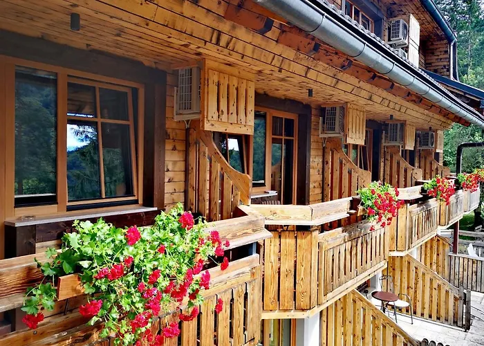 Spahotel: Ribno Alpine Hotel