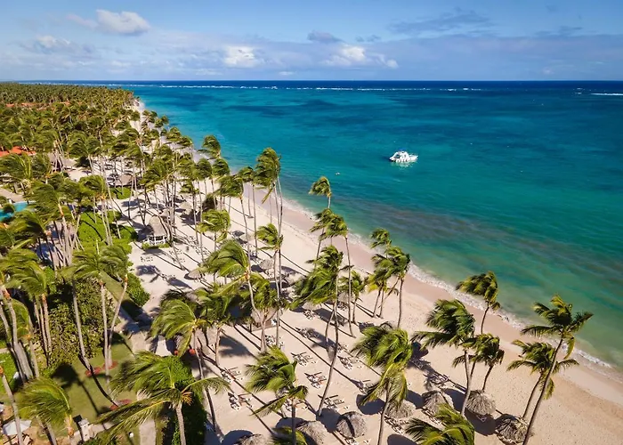 Hôtel accueillant les animaux: Hyatt Vivid Punta Cana - Adults-Only All-Inclusive Resort