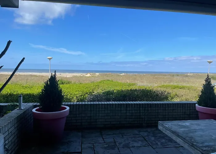 Vitamine Zee IJmuiden