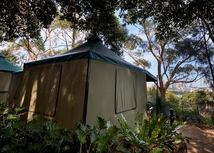 Roar And Snore