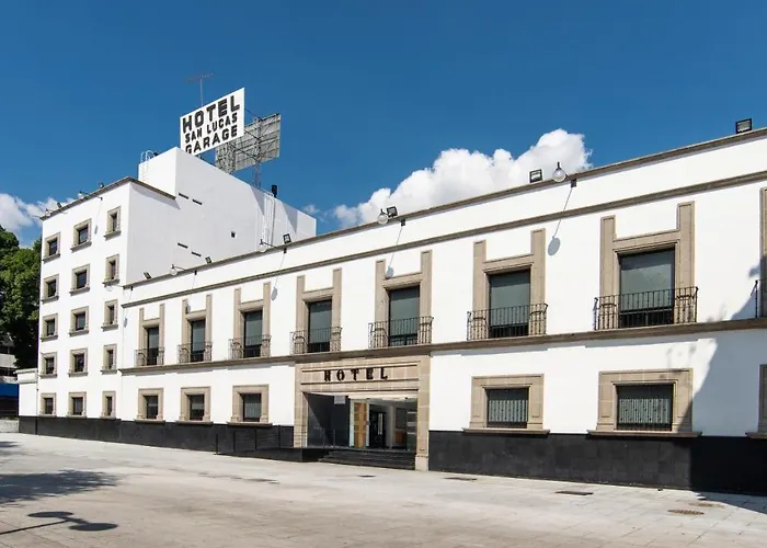 Perros hoteles San Lucas