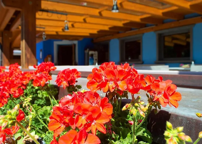 Hotel adatto agli animali: Al Mughetto