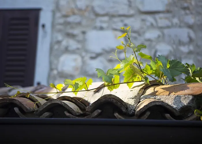 Hotel met tennis: Boutique Hotel Paradiso
